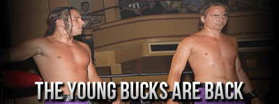 The Young Bucks Are Back